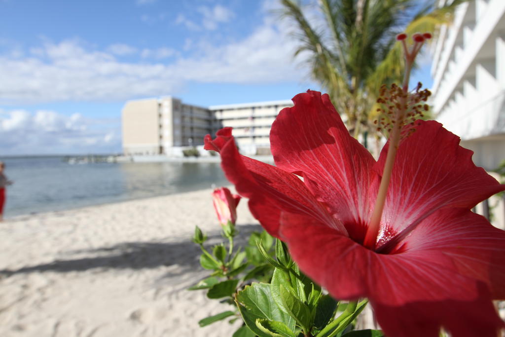 Princess Bayside Beach Hotel Оушън Сити Екстериор снимка